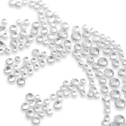 Strass-Transfer Hagedis zilver