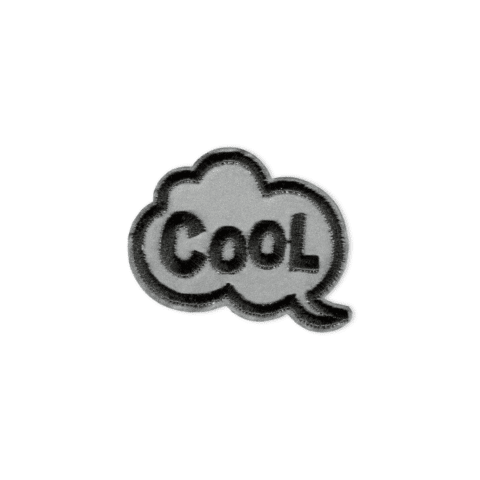 Applicatie reflex zelfklevend/opstrijkbaar COOL zilver